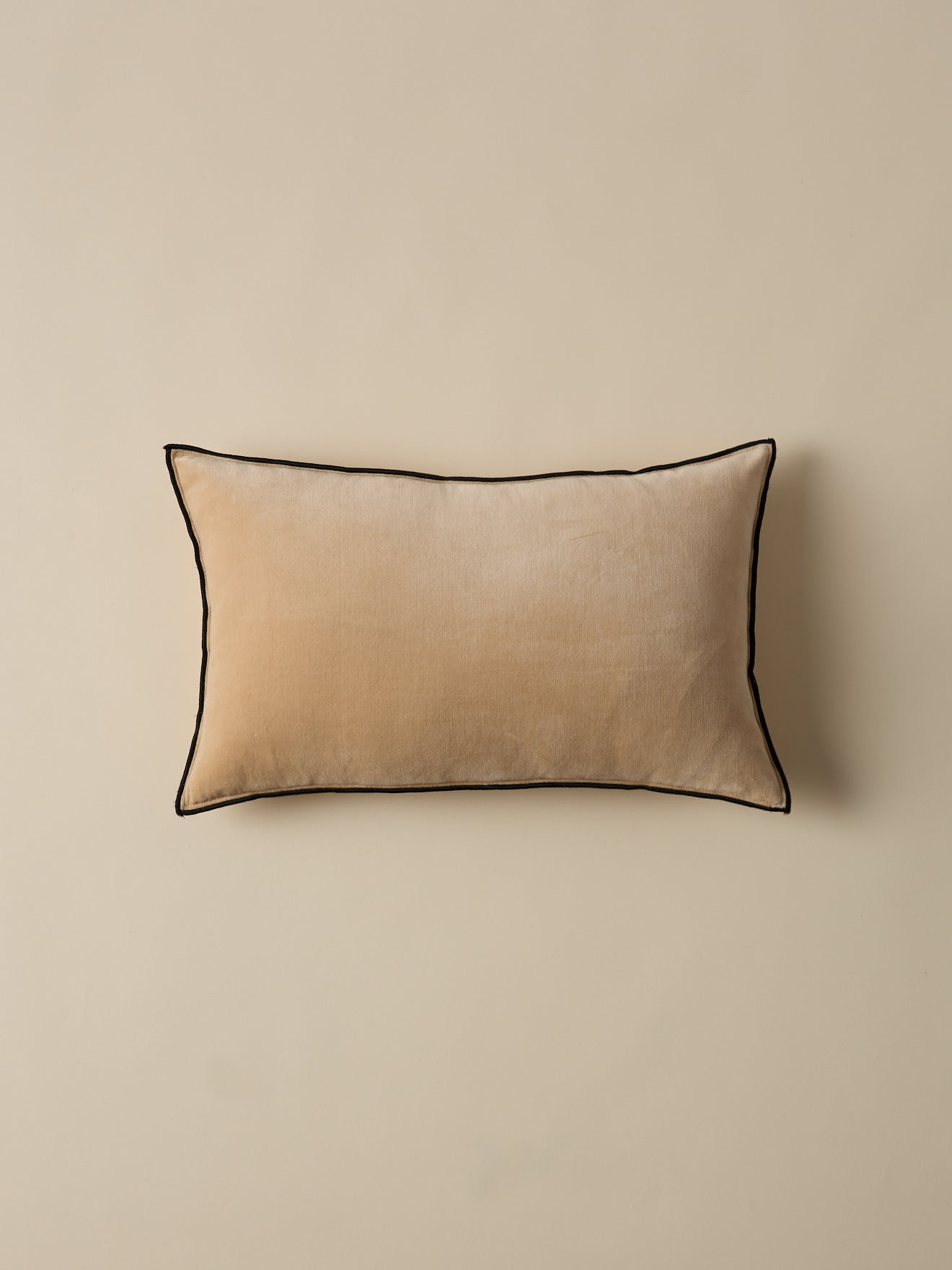 Housse de coussin en velours