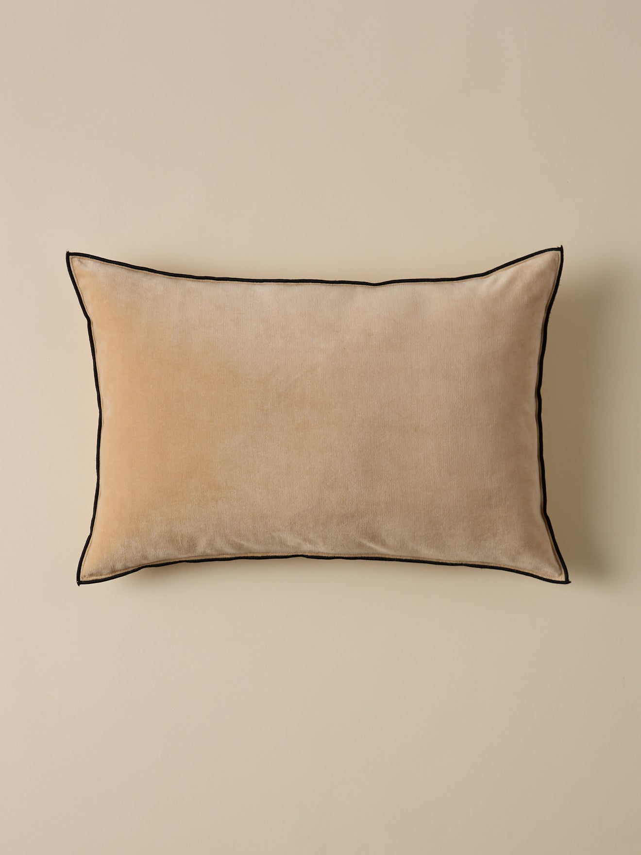 Housse de coussin en velours