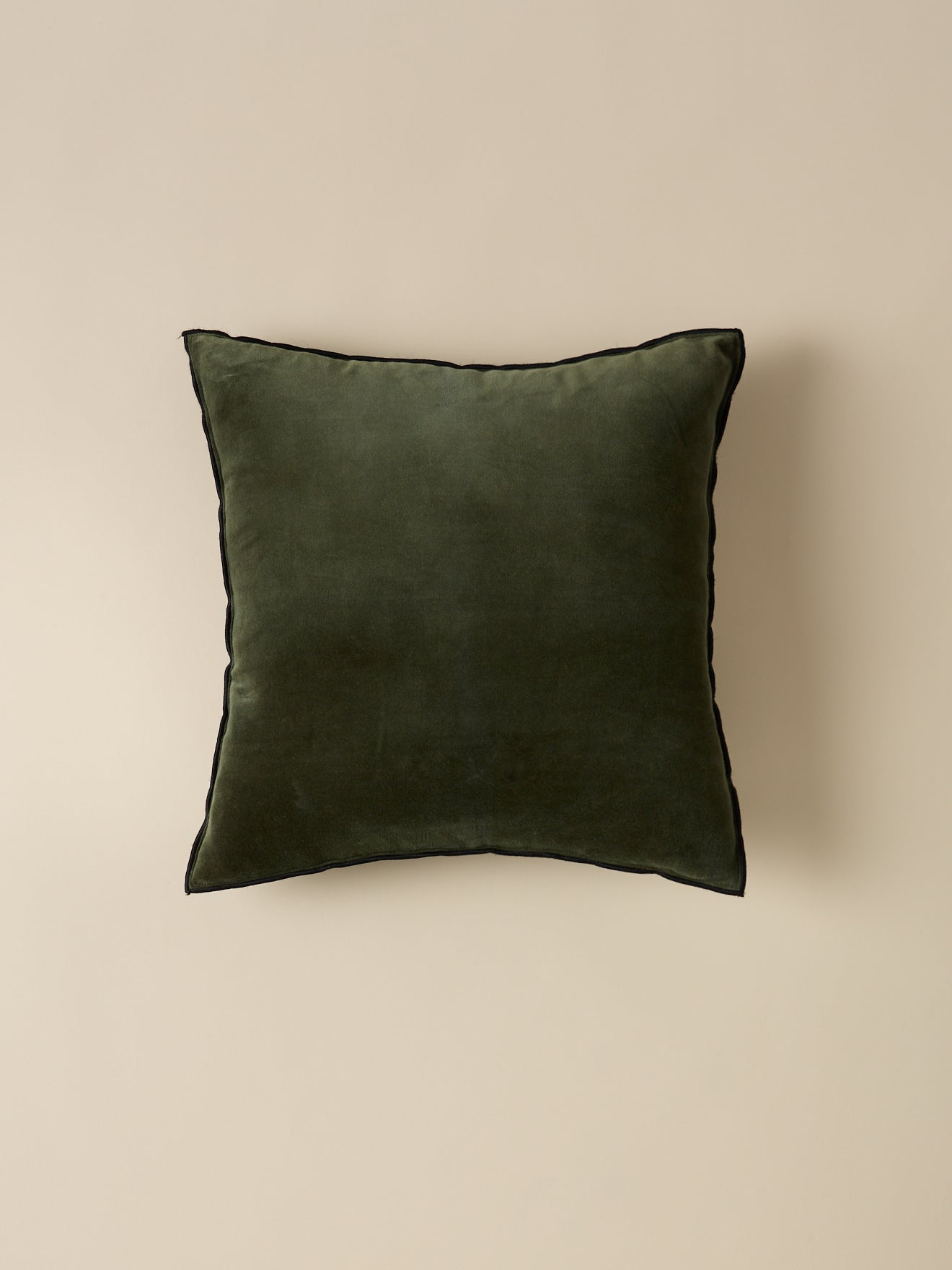 Housse de coussin en velours