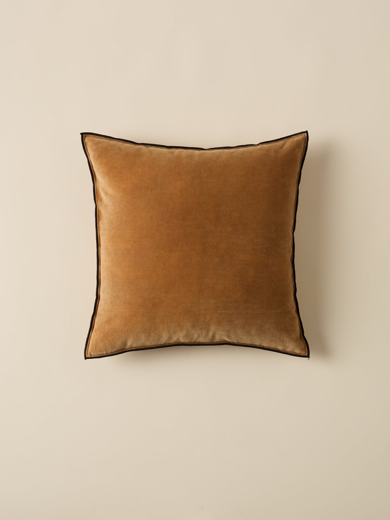 Housse de coussin en velours
