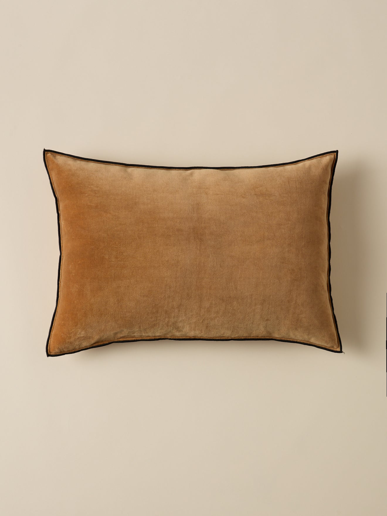 Housse de coussin en velours