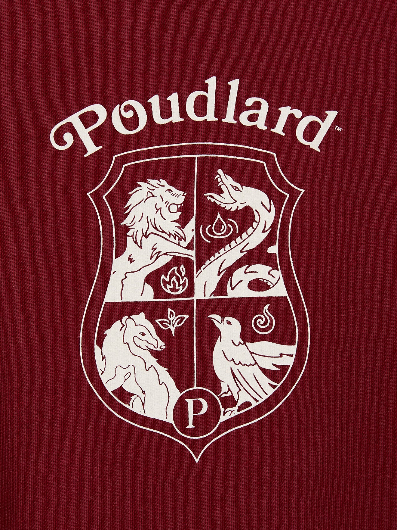 T-shirt Enfant - Collection Harry Potter