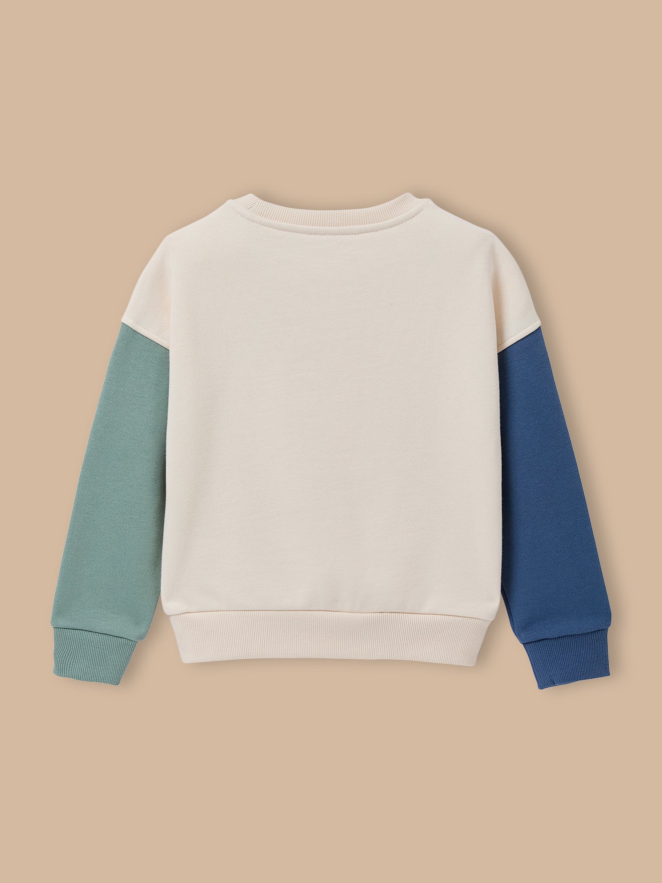 Sweat "colorblock" Garçon