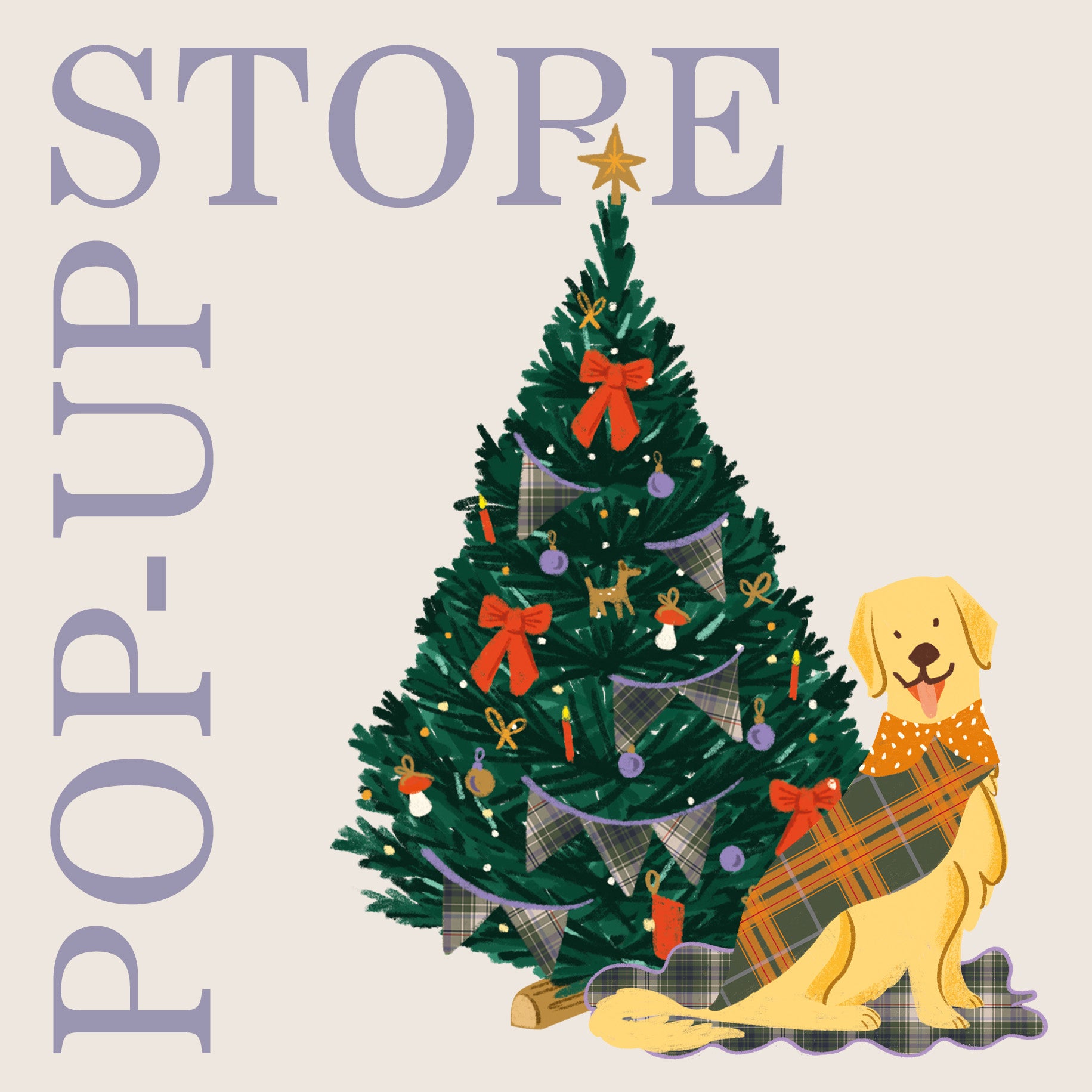 push-pop-up_store_FR