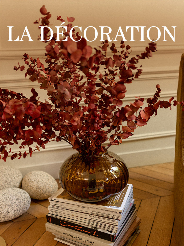 visu_page_maison_deco_FR_960fb8ed-61c1-47a5-9926-6fa5d40d660b